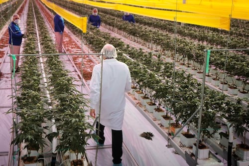 Tilray buys Breckenridge Distillery in move to grow U.S. business